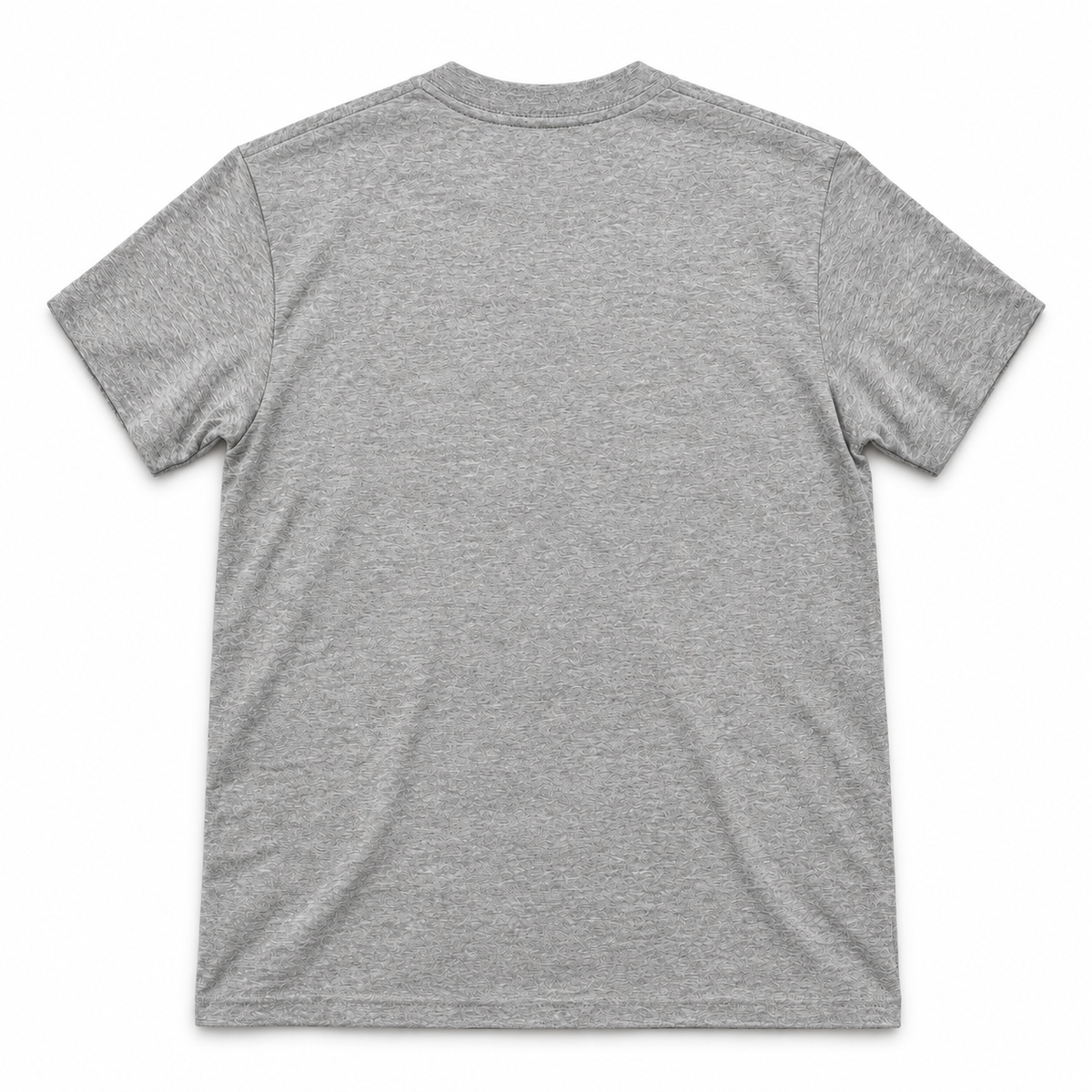 Back view of the heather grey Moose Jaw graphic T-shirt.